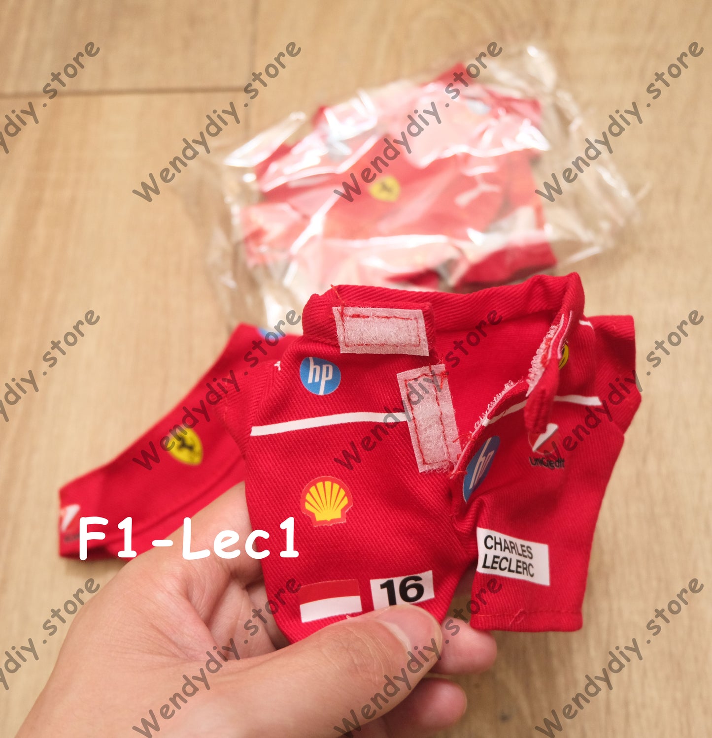 F1-Lec1 - Labubu Outfit